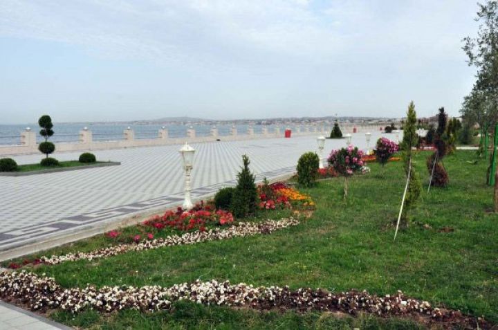 İstirahət parkları icra hakimiyyəti orqanlarının tabeliyinə verilib