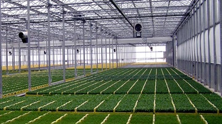 Dağıstanda Azərbaycanın istixanaları fəaliyyətə başlayıb