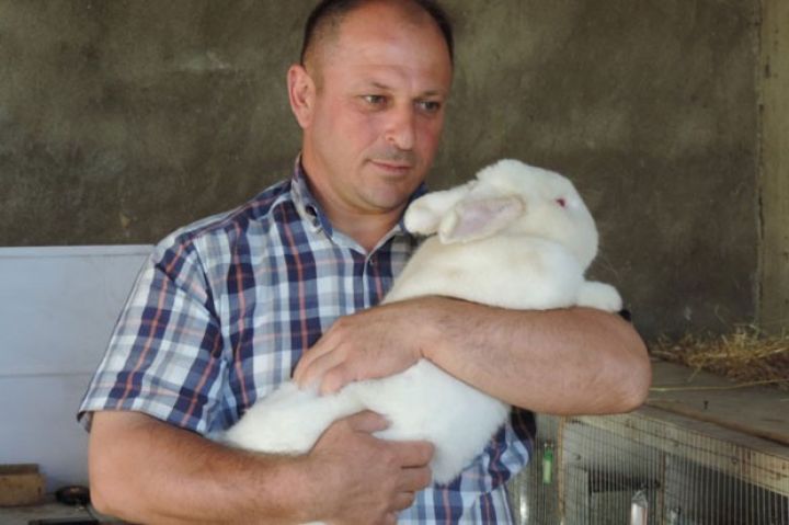 Hobbisini gəlir mənbəyinə çevirib