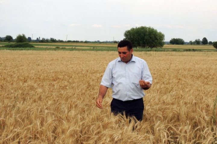 Tərtərli fermerin təcrübəsi - çoxşaxəli təsərrüfat, uğurlu nəticə