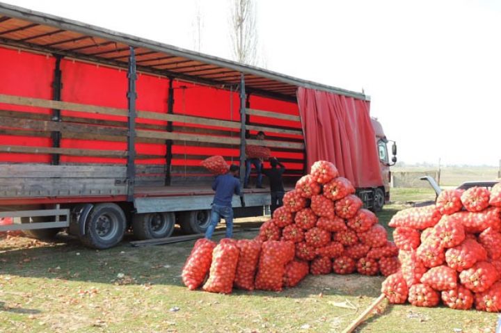 Min ton soğan ixrac olunub