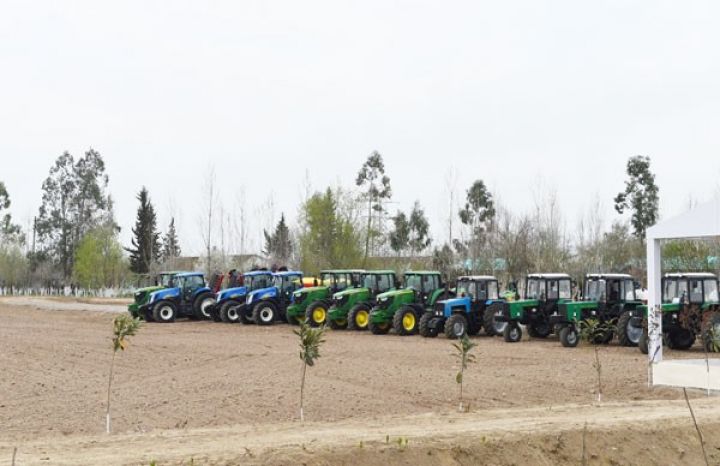 Prezident pambıq sahəsilə tanış olub