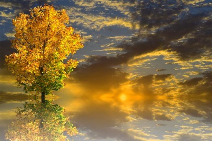 Sabaha olan hava proqnozu açıqlanıb