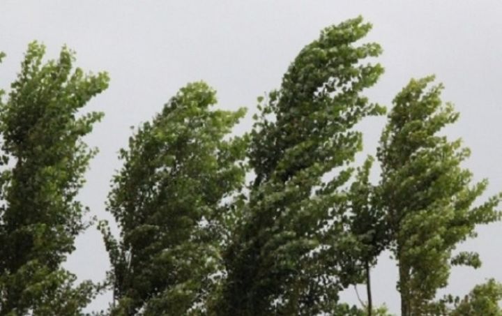 Sabaha olan hava proqnozu açıqlanıb