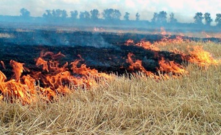 Əkin yerini yandıranlar cərimələnəcək