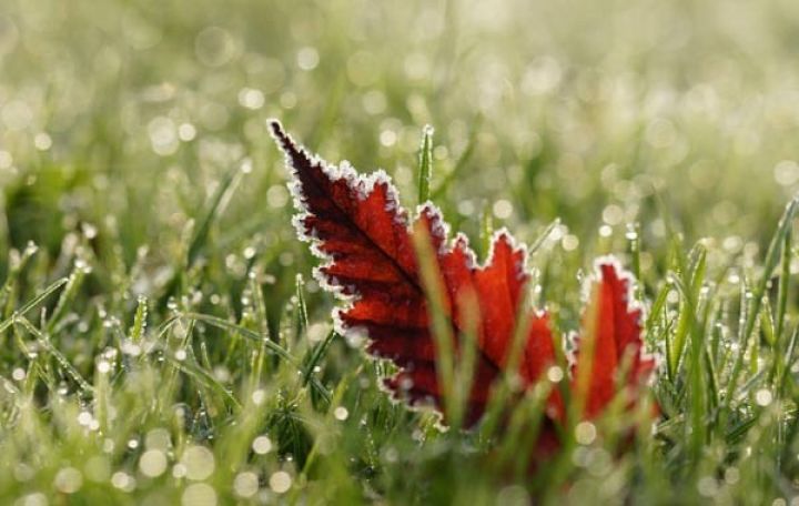 Həftə sonuna olan hava proqnozu açıqlanıb