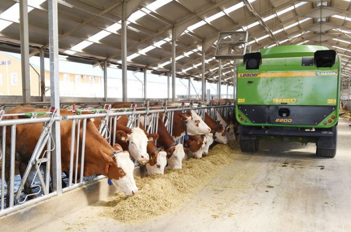 Yem məhsulları alınır - İSTEHSALÇILARIN NƏZƏRİNƏ