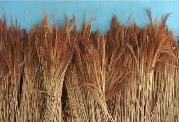 Gəlirli bitki - alıcılara 1.80-2 manata təklif olunur