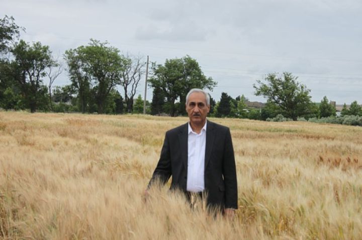 "Samanın yandırılması pulların havayı sovrulması deməkdir"