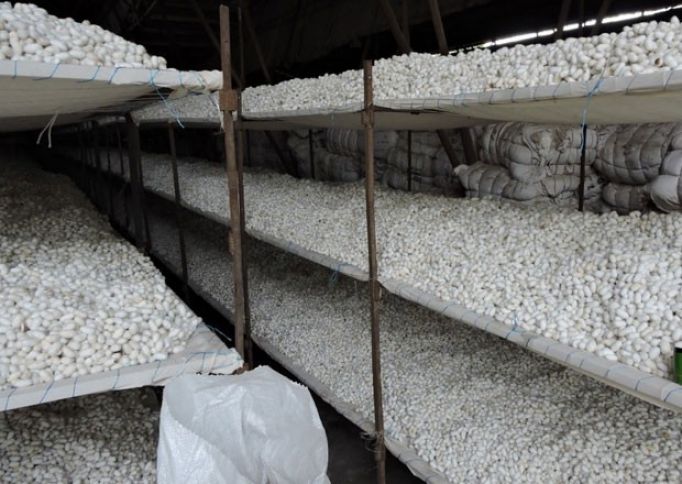 Qərar verildi - baramaçılara 2,5 milyon manat ödəniləcək