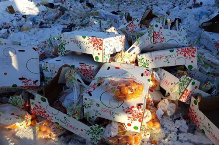 Rusiyaya aparılan pomidorlarda xəstəlik aşkar edilib 