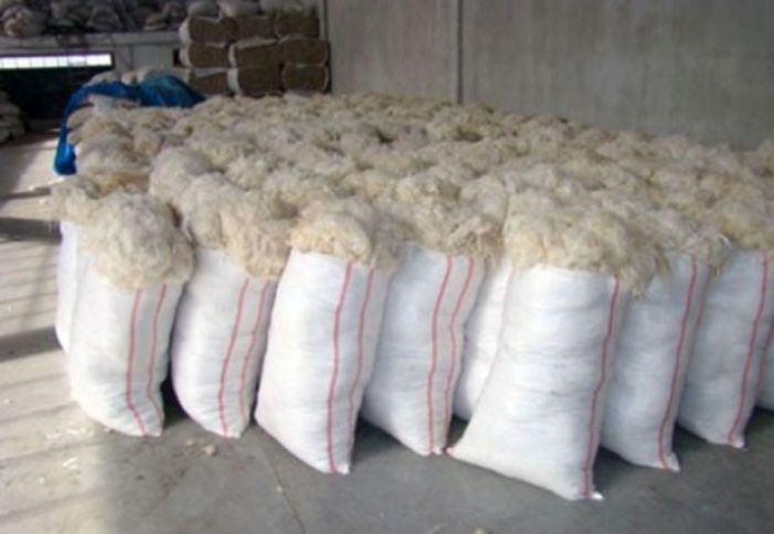 Son 10 ildə ilk dəfə Rusiyaya yun ixracı həyata keçirildi
