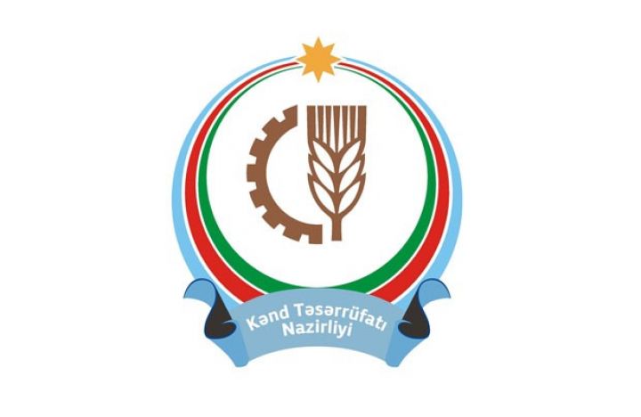 Nazirlikdə yeni təyinat olub