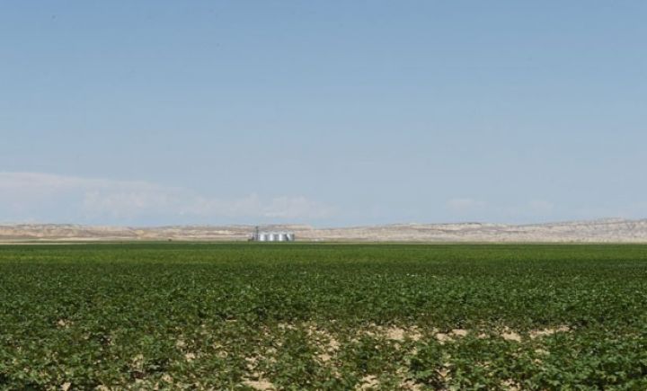 İki aqropark şirkəti yaradılıb