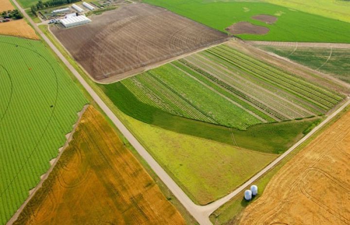 Əkilməyən torpaqlar geri alınır - XƏBƏRDARLIQ