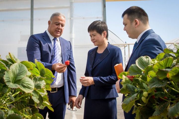 Azərbaycan və Çin şirkəti 140 milyon dollarlıq müqavilə üzrə işlərə başlayır