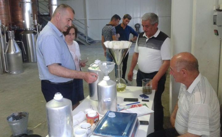 Zaqatalada istehsalı başladı - 12 MİN AVROYA SATILIR