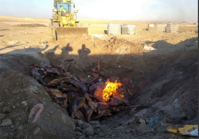 Qida Təhlükəsizliyi Agentliyi 2,5 ton əti məhv etdi