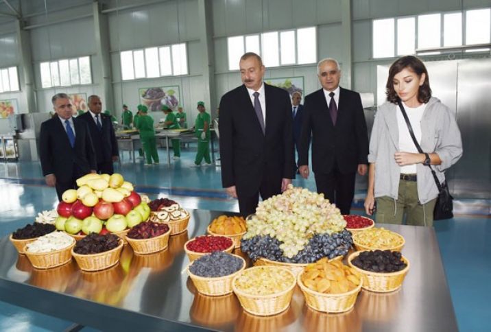 Qubadan ərəb ölkələrinə ixrac olunacaq