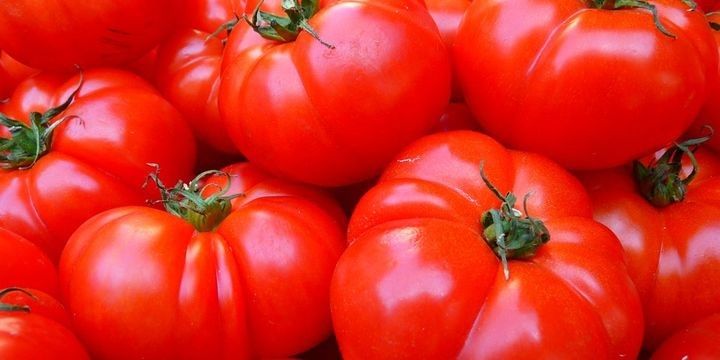 Azərbaycanın xaricə pomidor satışından gəliri açıqlandı