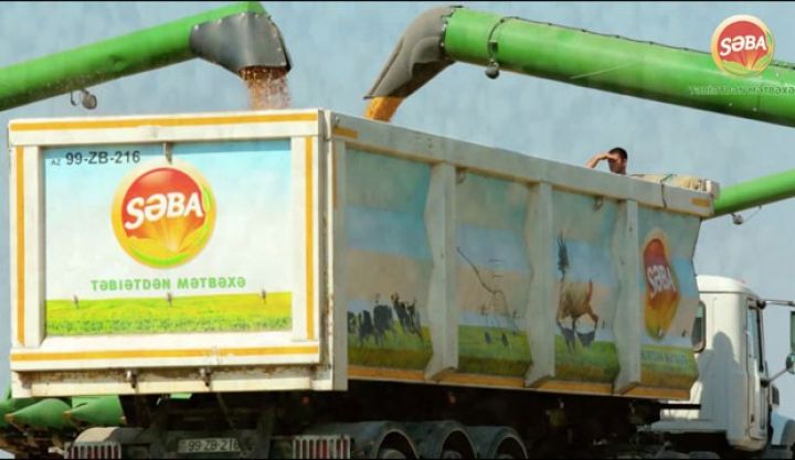 “Səba”nın əkinçilik şirkətində idarəetmə üsulu dəyişdirilib - YENİ TƏYİNATLAR
