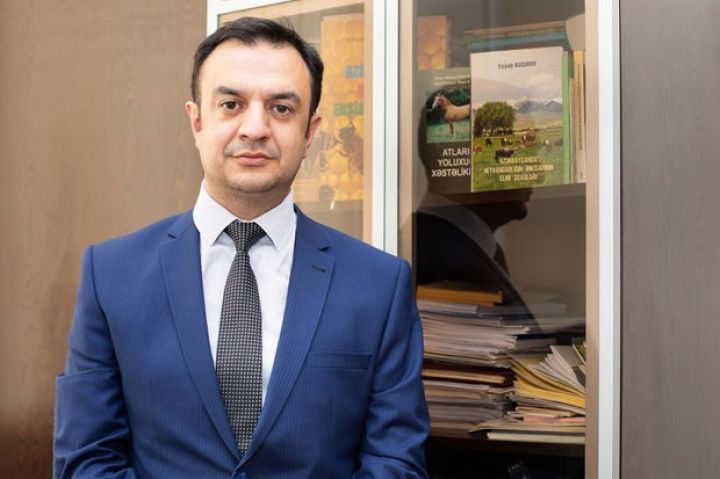 "Ölkənin örüş-otlaq sahəsi heyvanların yemlənməsi üçün kifayət etmir"