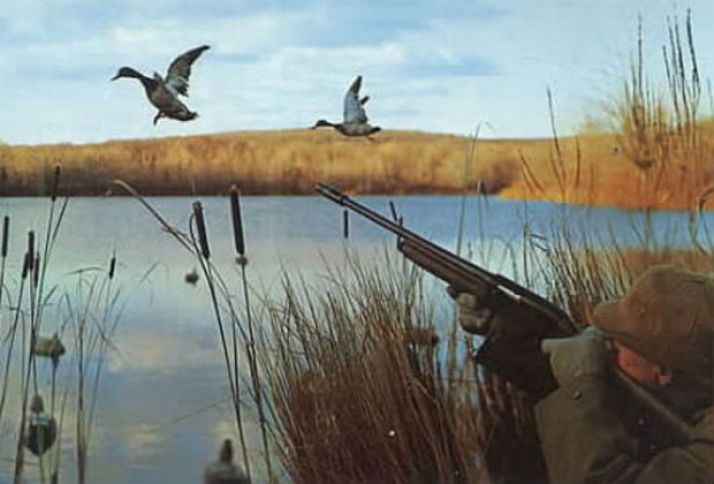 Nazirlik icazəsiz ova cəhd edənləri cərimələyib