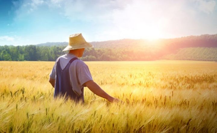 Azərbaycanlı fermerlərə yeni plastik kartlar paylanılacaq