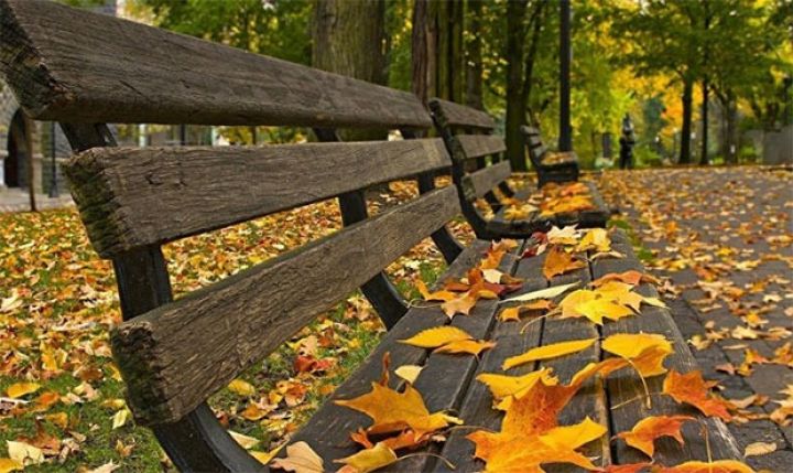 Şənbə gününə olan hava proqnozu açqılandı