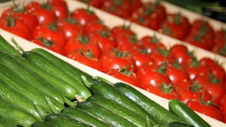 Ötən il 200 min tondan çox pomidor istehsal edilib
