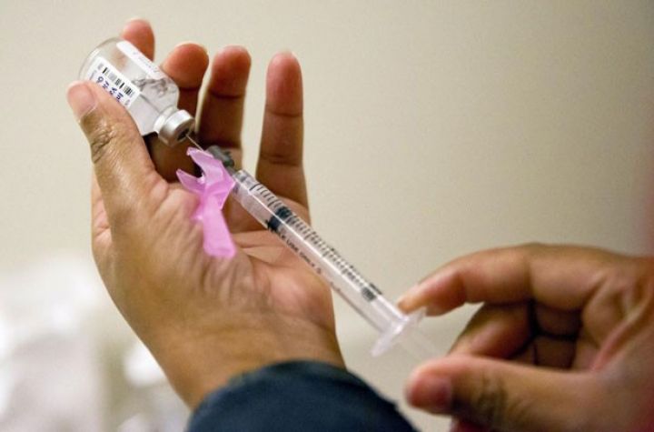 Gürcüstanda "donuz qripi"ndən ölənlərin sayı 17-yə çatıb