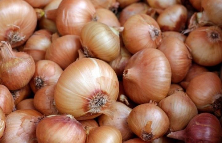 Azərbaycandan Türkiyəyə soğan satılmasına icazə verilib - MÜRACİƏT