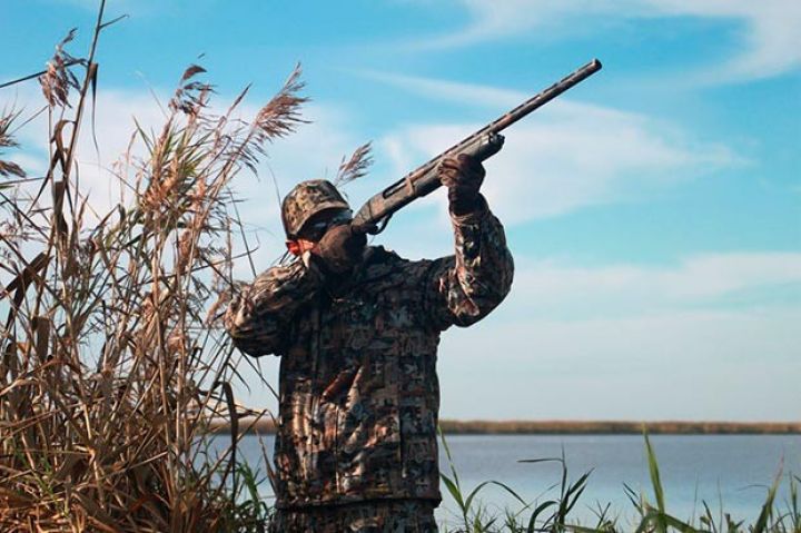 Ovlanmasına icazə verilən və verilməyən heyvanların adları açıqlanıb - SİYAHI