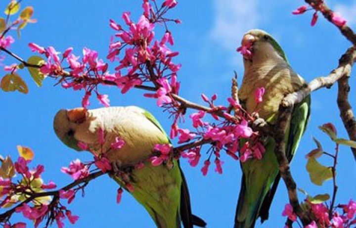 Martın 21-nə gözlənilən hava proqnozu açıqlandı