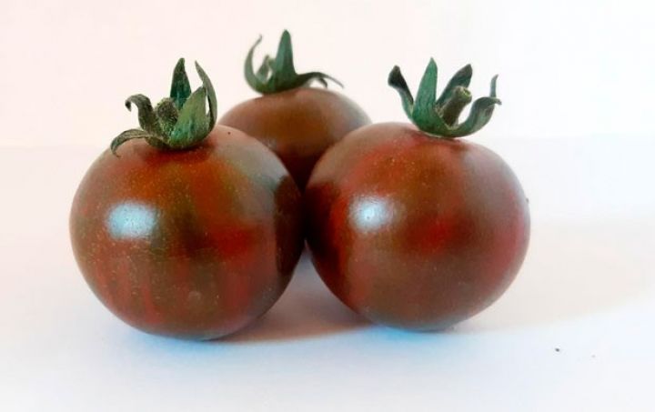 Azərbaycanda ilk dəfə qara pomidorun istehsalına başlanıb - QİYMƏTİ