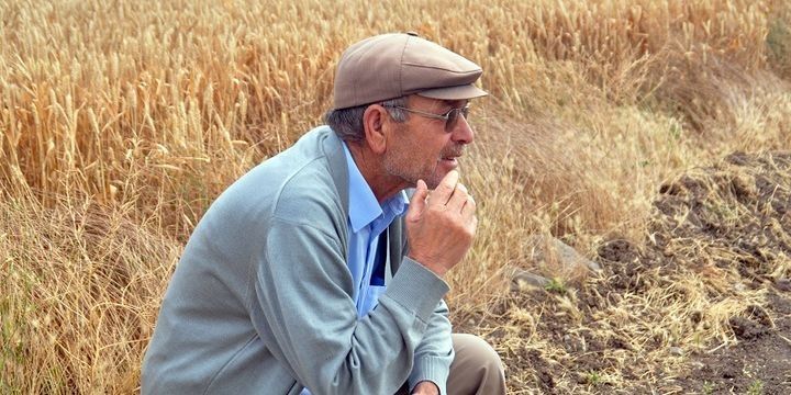 Subsidiya almaq istəyən fermerlərin nəzərinə - 20 GÜN QALDI