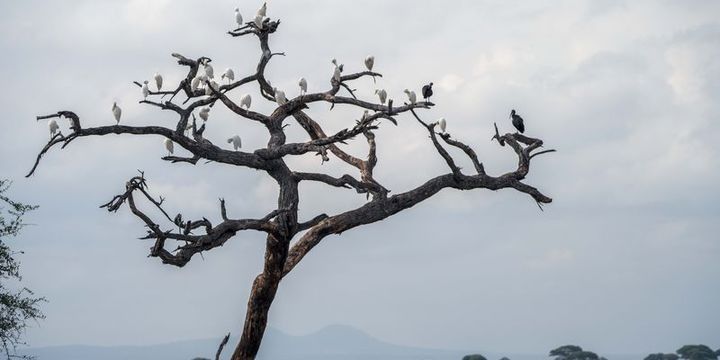 BMT-dən iqlim dəyişikliyi xəbərdarlığı
