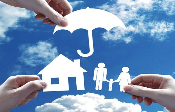 Sığorta haqlarının 73%-i 5 şirkətin kassasına daxil olur