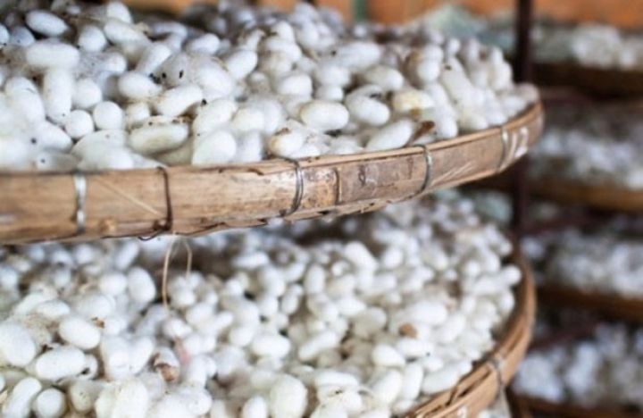 Zaqatalada baramanın qurudulması üçün məntəqə tikiləcək - 2,8 MİLYONLUQ MÜQAVİLƏ