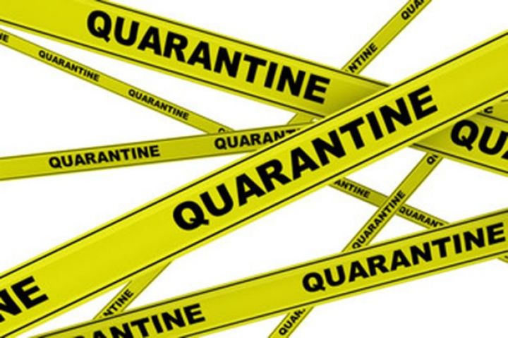 Azərbaycanda idxal karantin icazəsi ləğv edilə bilər