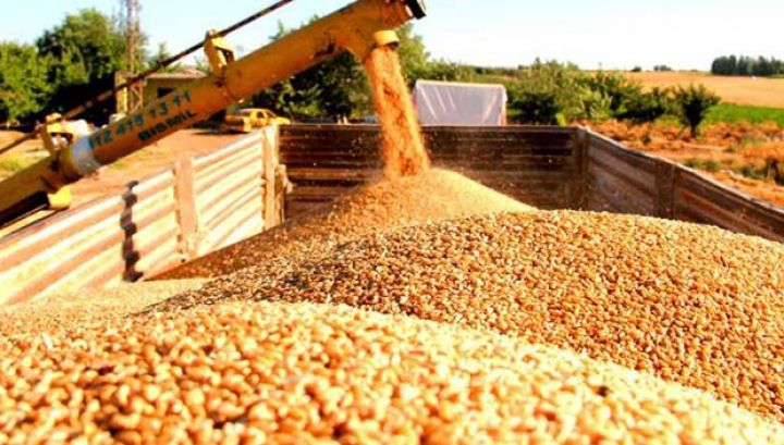 Azərbaycana satıb 58,5  milyon dollar qazanıblar