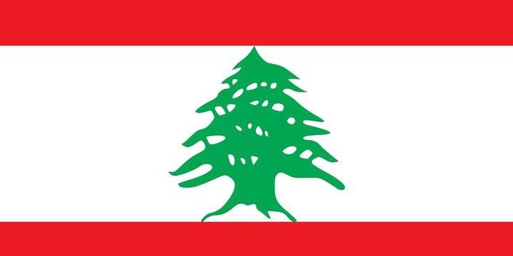 Livan iqtisadiyyatda fövqəladə hal elan etdi