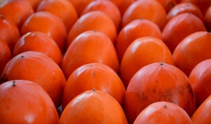 Azərbaycan xurma ixracından 125 milyon dollardan çox gəlir gözləyir 