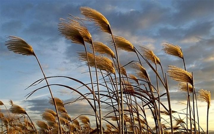 Sabaha olan hava proqnozu açıqlandı