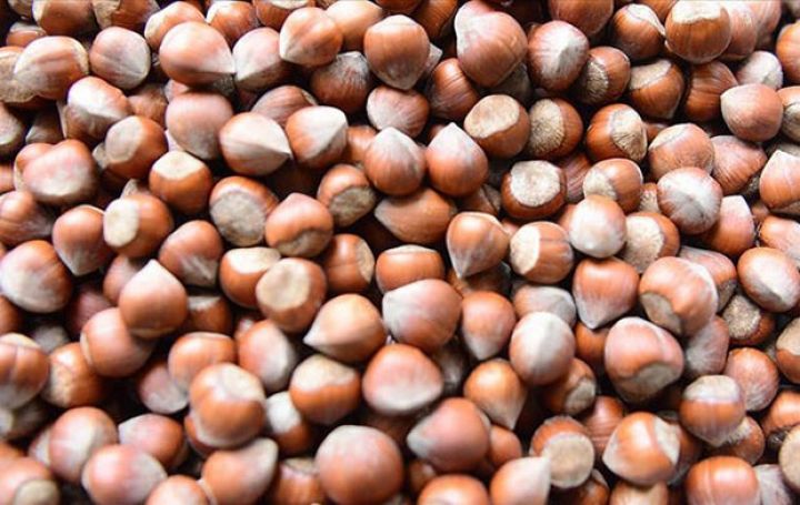 Azərbaycan şirkəti fındıq satışından 800 min dollar qazanacaq