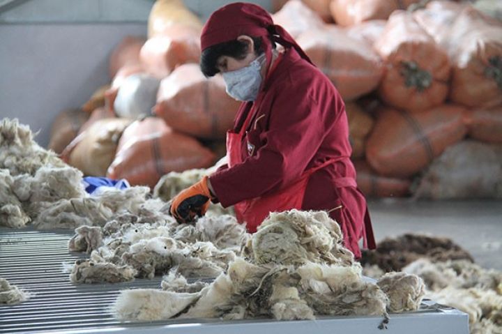 “Azərxalça” Türkiyədən mütəxəssislər dəvət edib