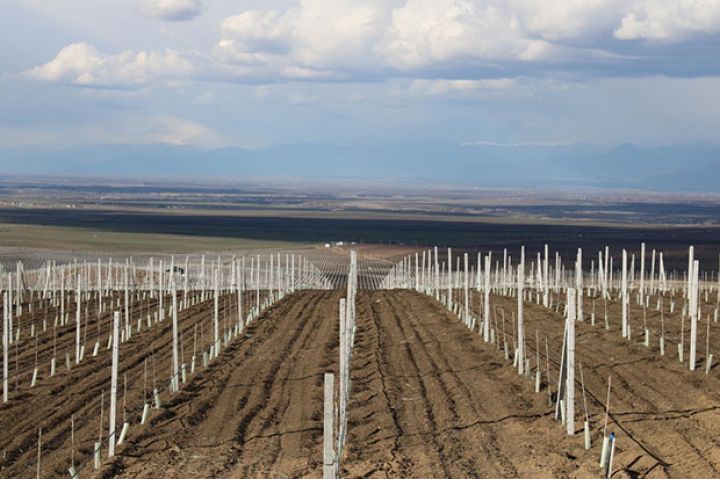 Aqroparkların yaradılmasına 200 milyon manata yaxın güzəştli kredit ayrılıb