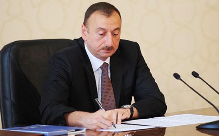 Nazirə müavin təyin edildi