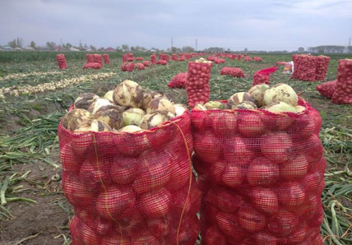 Soğan istehlakı 15,8% artıb