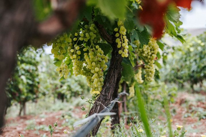 "Bu sistem məhsuldarlığa çox ciddi təsir göstərir"